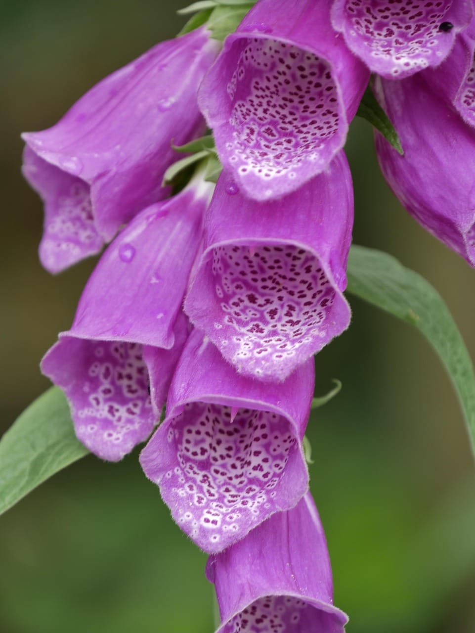 Gloria Ramirez “Toxic Lady” Case: Room 1 Mystery Explained (2026)