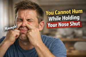 You Cannot Hum While Holding Your Nose Closed