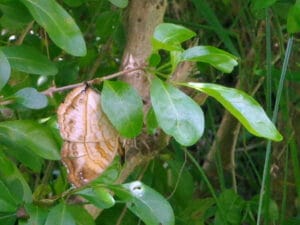 unbelievable survival discover