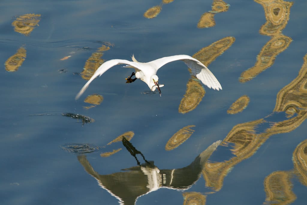 1 Can AI Manipulate Human Emotions Online? Terrifying Truths