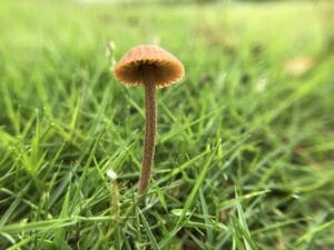 do blue light glasses really work the truth about digital eye strain