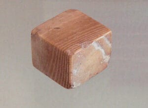 indus valley civilization