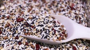 Piri reis map antarctica