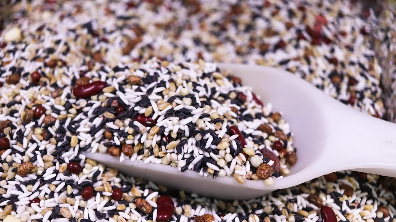 Piri Reis Map Antarctica Claim: What the Evidence Shows (2026)