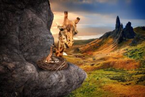 10 Hidden Ways Endless Tabs Fragment Memory and Attention