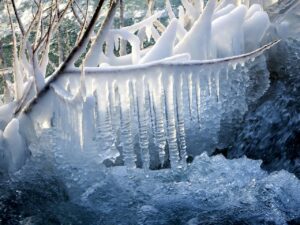 freezing when asked