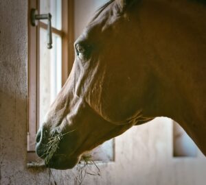 Unraveling Liminal Space Anxiety: Why You Feel Unsettled