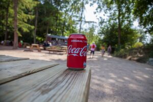 Why Some Can’t Handle Ambiguity: The Openness Factor