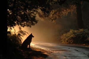 why unsolved mysteries
