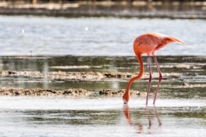 10 Digital Declutter Prompts That Make Devices Feel Lighter and Cleaner