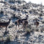 11 Journal Prompts That Help Calm Anxious Thinking Without Cliches