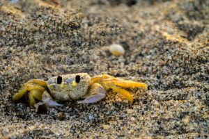 12 research summary prompts that