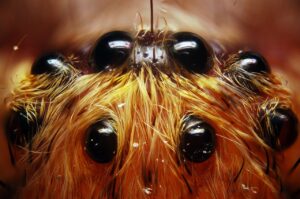 8 Things Sci Fi Gets Wrong About Colony Boredom in Deep Space