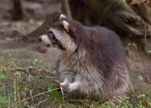 ai customer retention for small