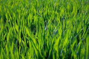 Ai Prompts For Better Emotional Awareness: 15 Practical Ways to Get Better Results