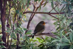 Ai Prompts For Hidden Inventions Stories: 19 Practical Ways to Get Better Results