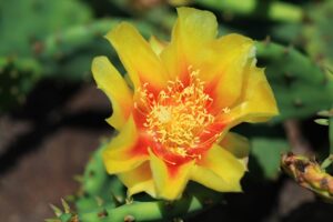 AI Quote Follow Up for Home Service Businesses: 9 Ways to Close More Jobs