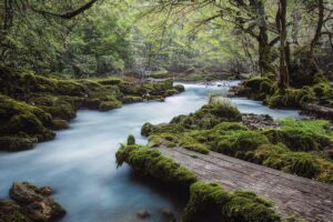 ai voicemail transcription