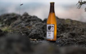 ChatGPT Prompts for Product Descriptions: 15 Templates That Improve Ecommerce Copy