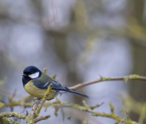 Prompt Frameworks For Space Documentary Notes: 14 Practical Ways to Get Better Results