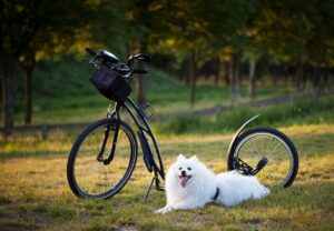 Prompt Templates For Language Learners: 11 Practical Ways to Get Better Results