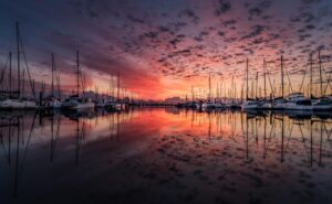ancient harbor silt