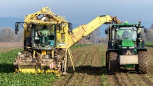 Off-World Farming Stress: 8 Biological Challenges Plants Face Gui