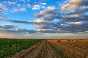 Lost Roads Under Fields