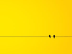 Negative Space in App Design