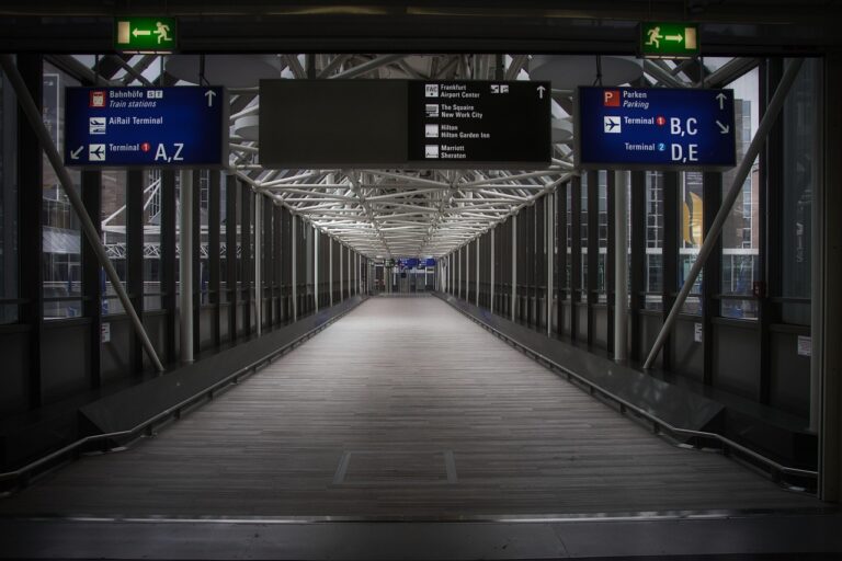 Stadium Exit Wave: 9 Reasons Why Crowds Follow Motion
